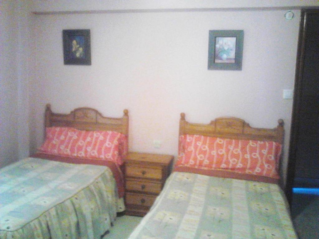 Hostal Alameda photo