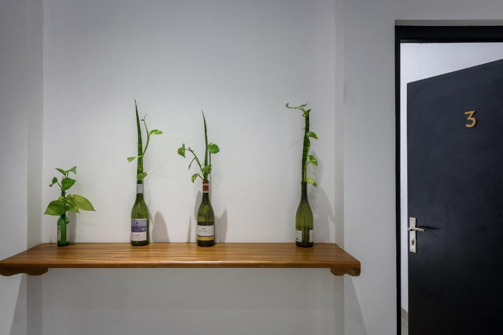 Fern Colombo photo