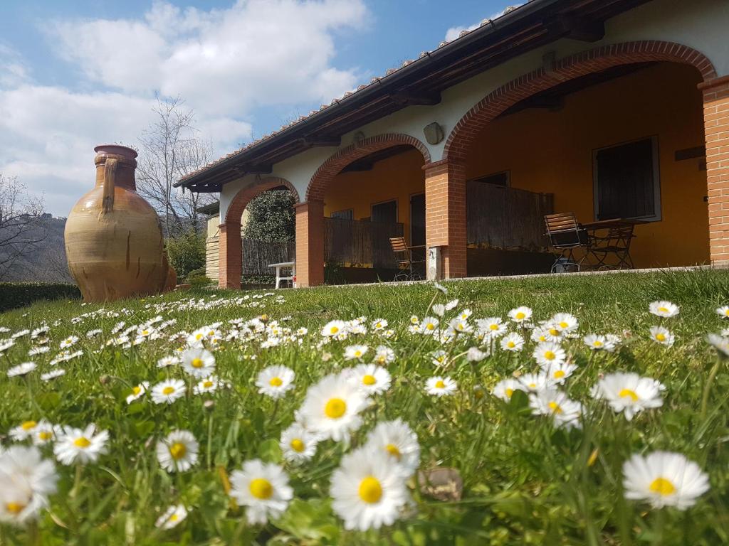 Agriturismo Il Pillone - 3