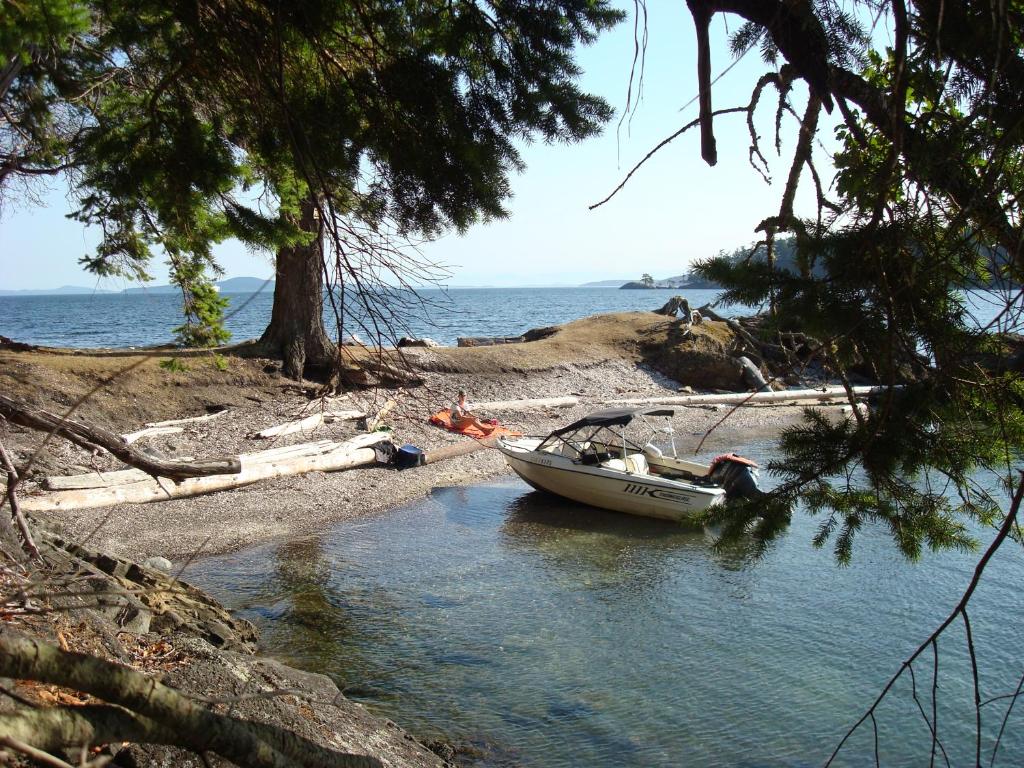 Sticks and Stones Cottage-Arbutus Grove photo