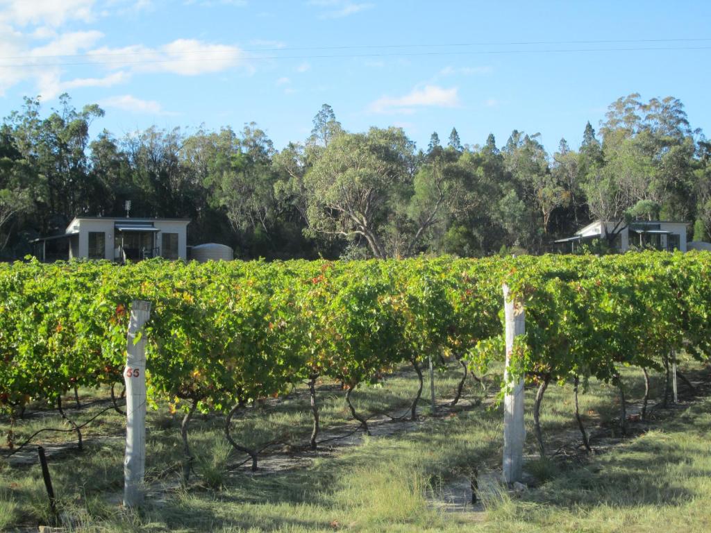 Just Red Wines Cabins photo