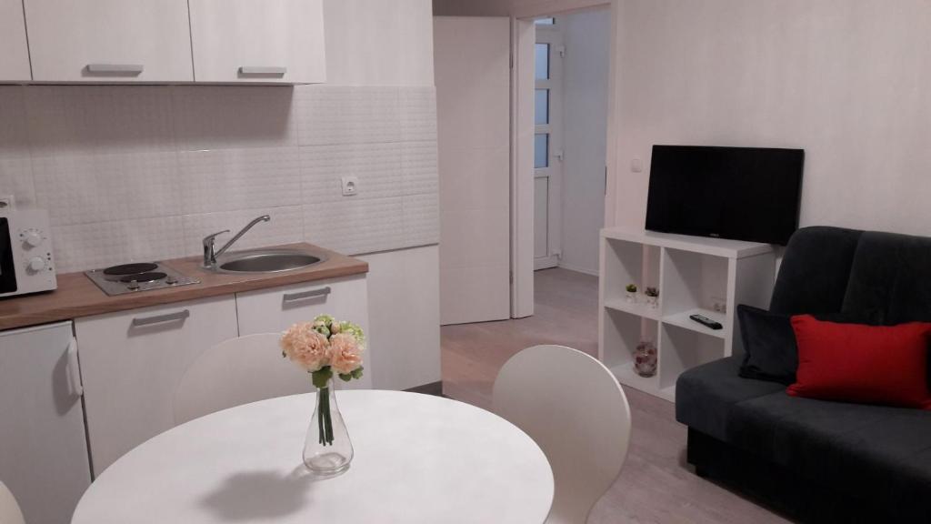 Apartment Sano 전경