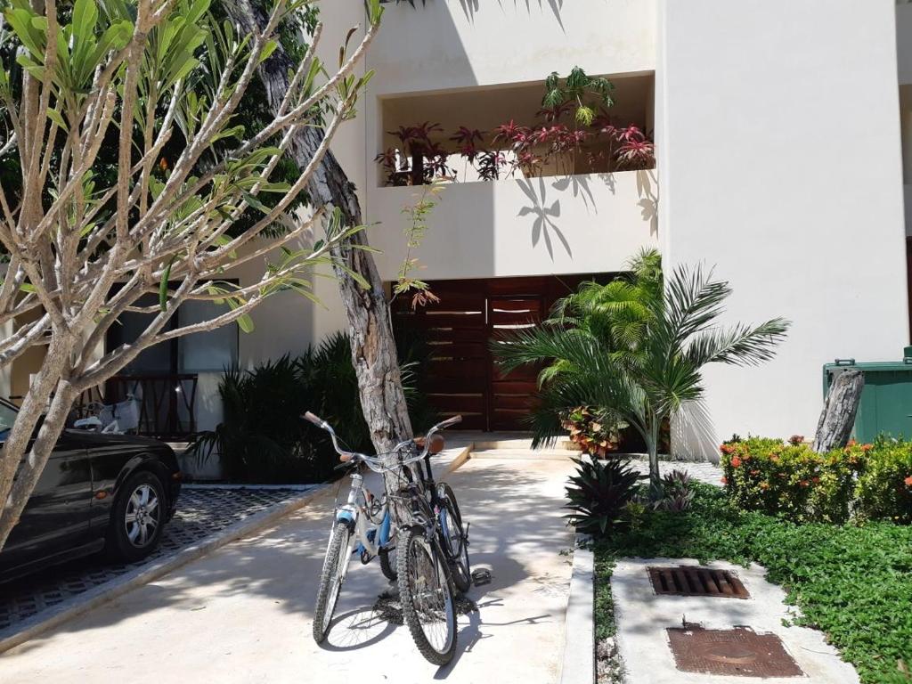 Tulum Prana - 3