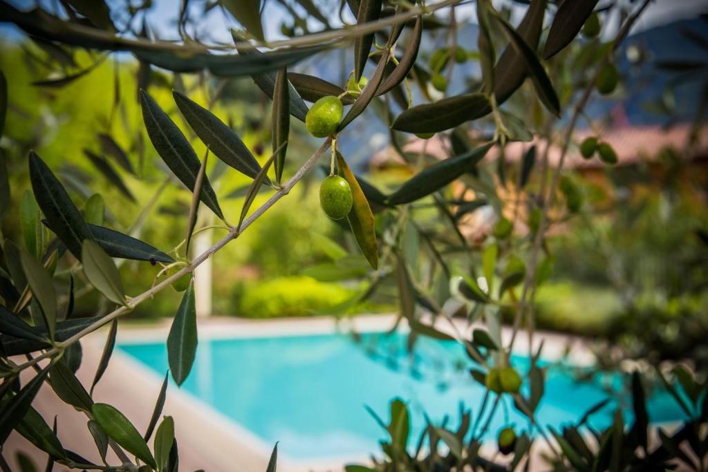 Maison Casa Lavanda - 2