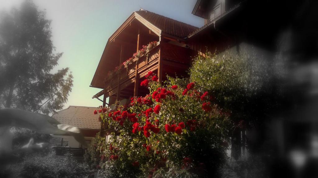 Ferienwohnungen Fischerhaus - direkt am See - 1