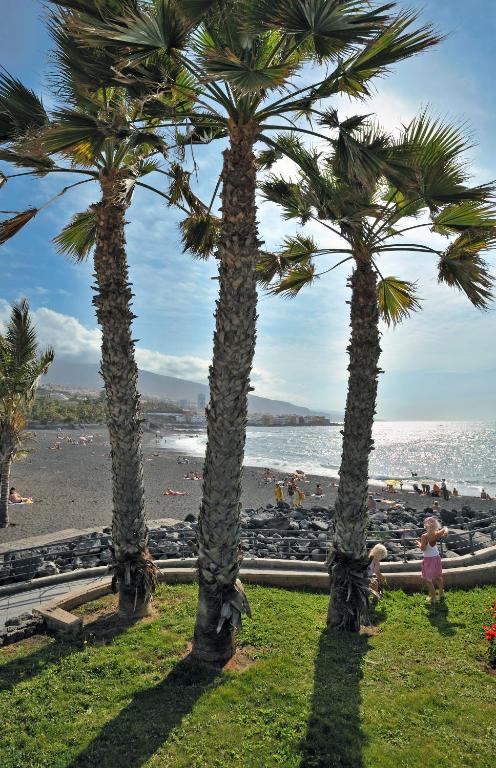 Sol Puerto de la Cruz Tenerife Photo 5