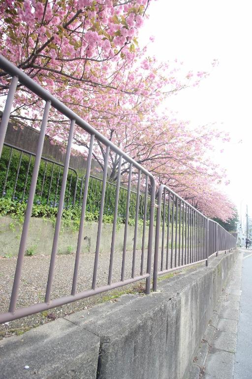 Surrounding environment