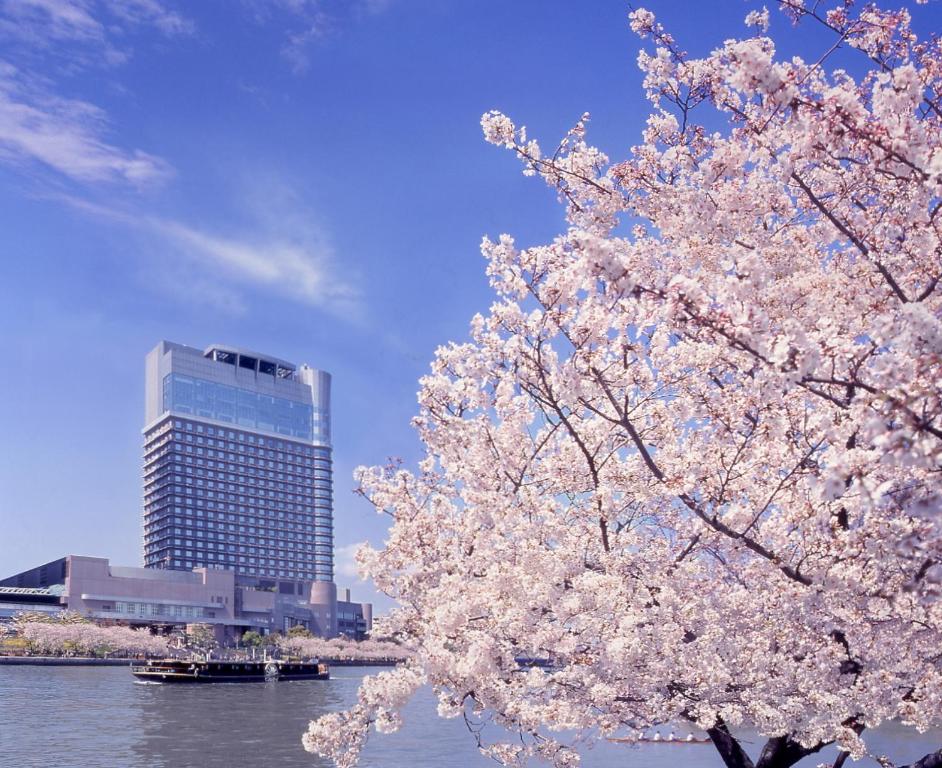 Hotel Property