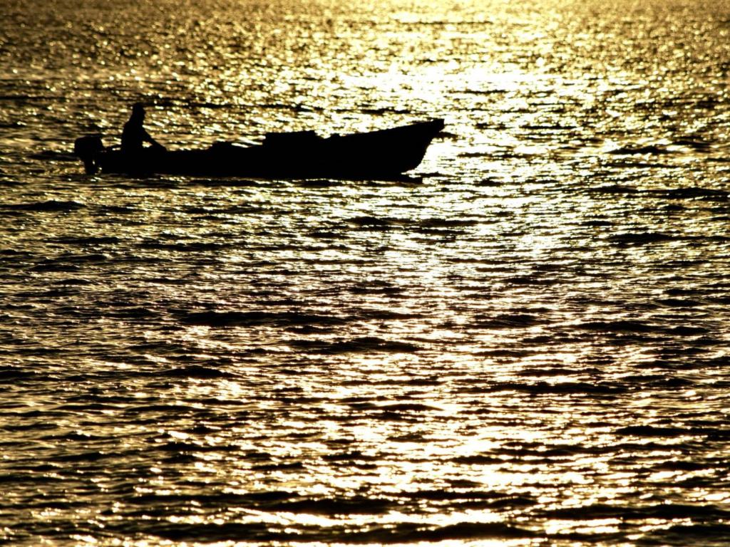 Surrounding environment