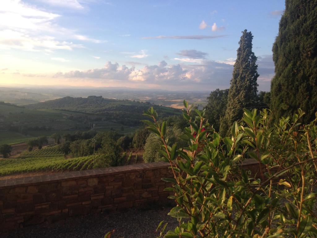 il burellino - 3
