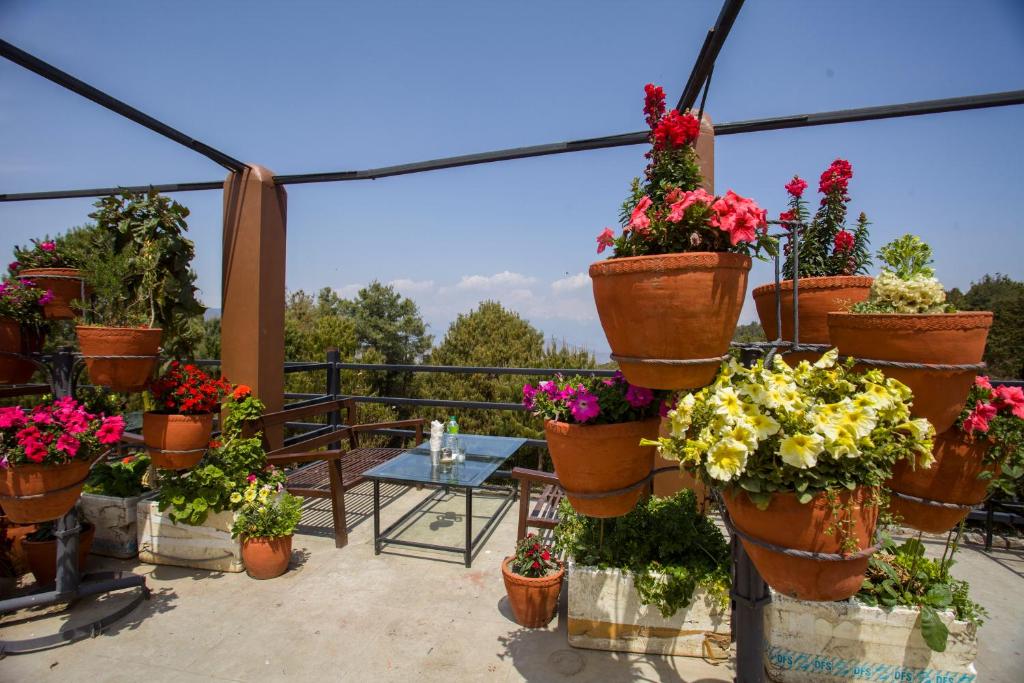 Langtang View Nagarkot Bed & Breakfast