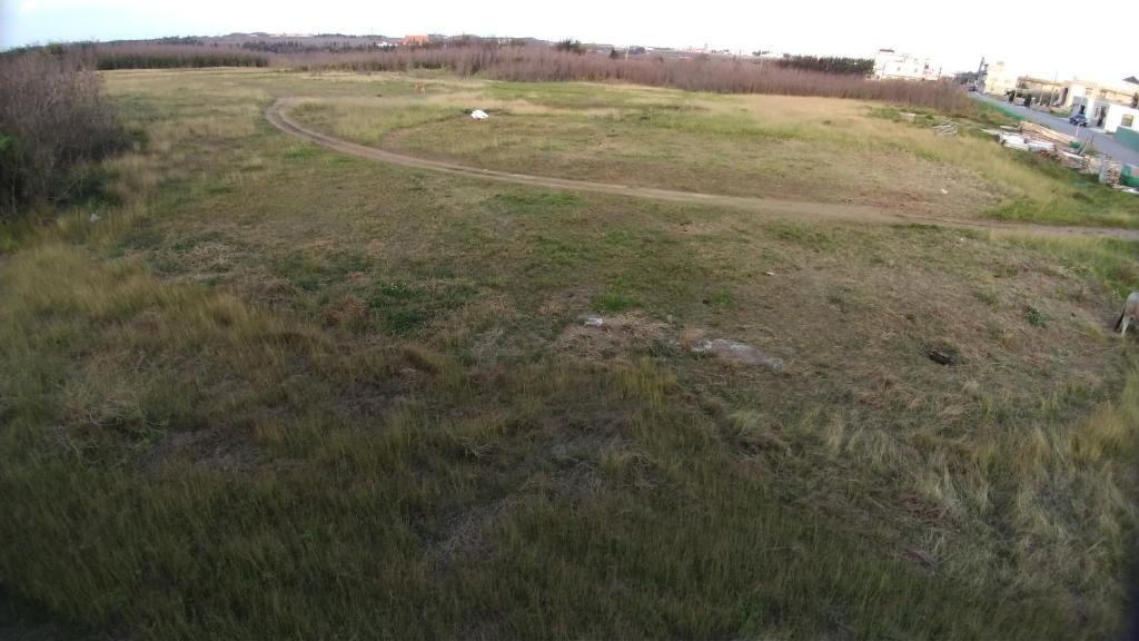 Homelike Homestay 호텔 이미지 2