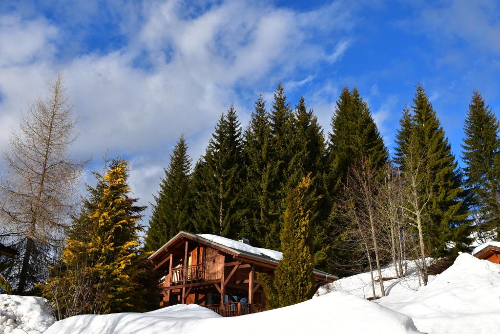 Chalet Orlando photo