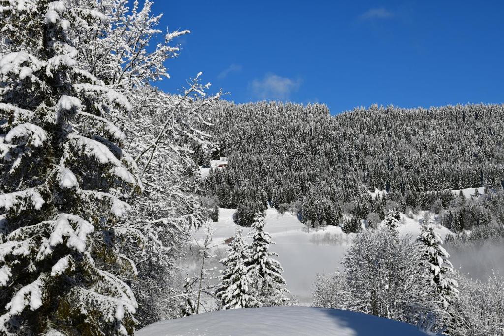 Best Price on Chalet Orlando in Les Gets + Reviews!