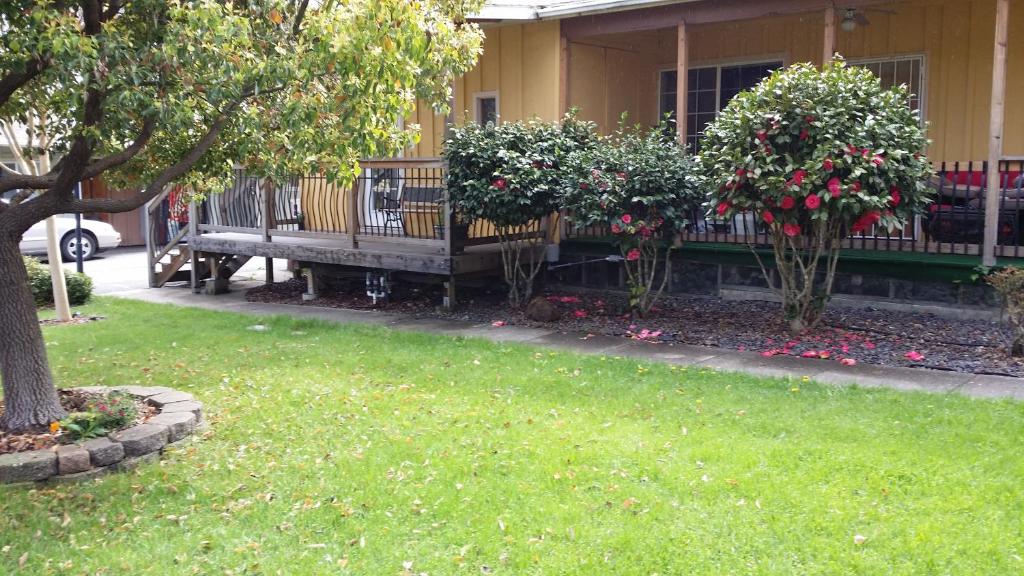 Redwood Inn Willits photo