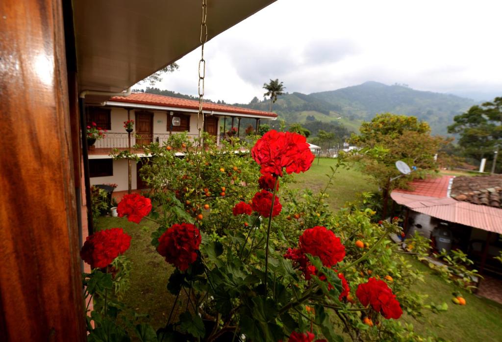 Hostal Origen Colonial - 3