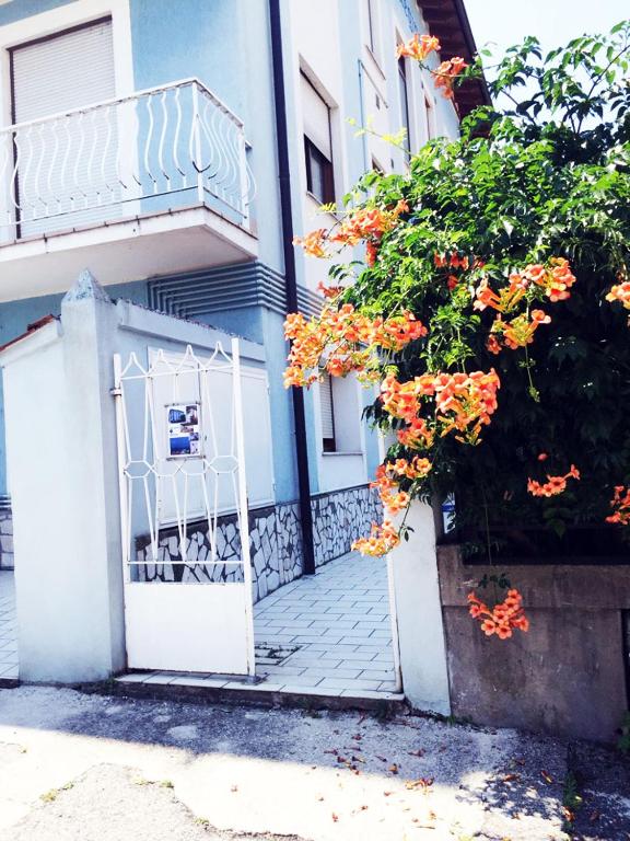 Casa regina - 2