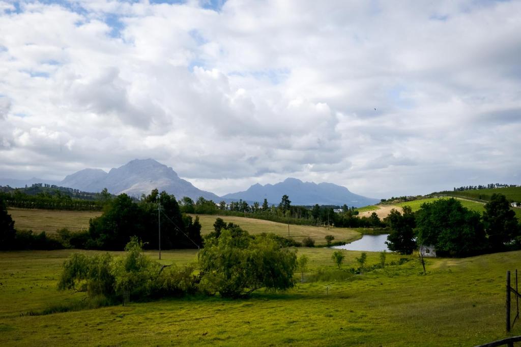 Zebra Cottage and Lodge — Hotel in Stellenbosch