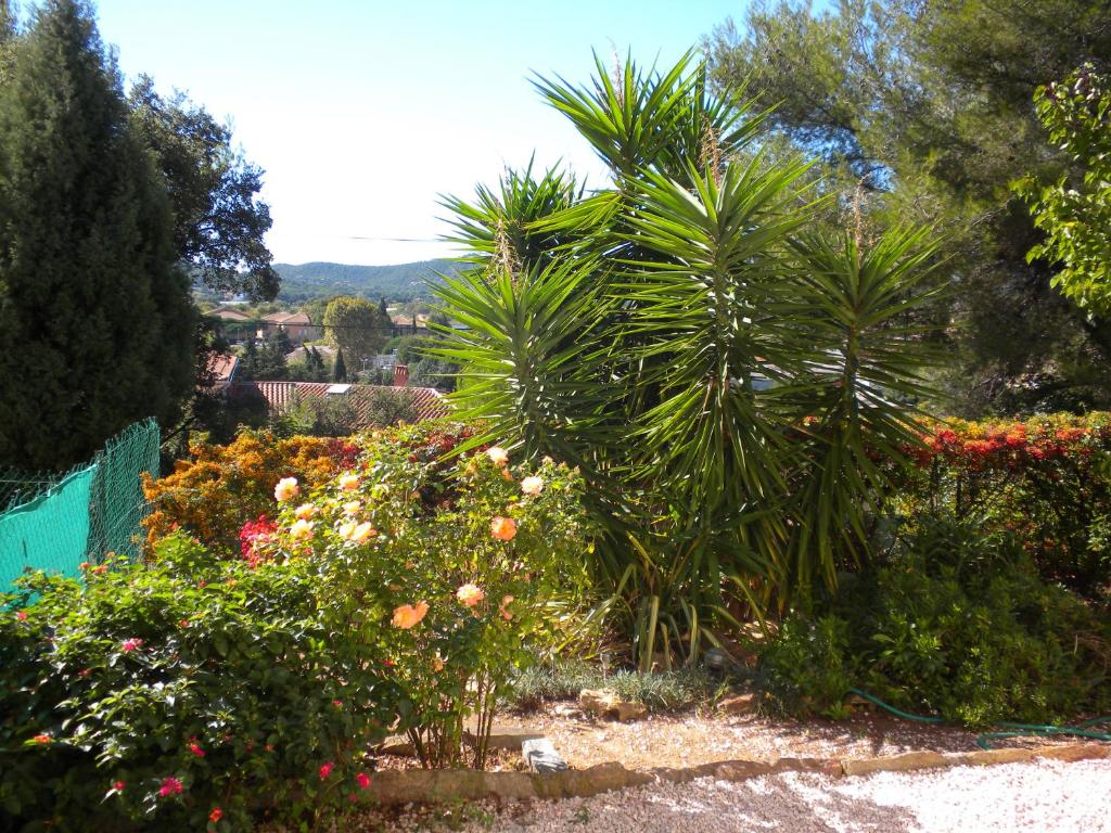 Ecrin de verdure sur Le Lavandou - Classement Tourisme 3 Etoiles - 5