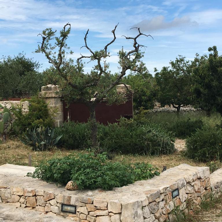 Trulli Lalù - 3