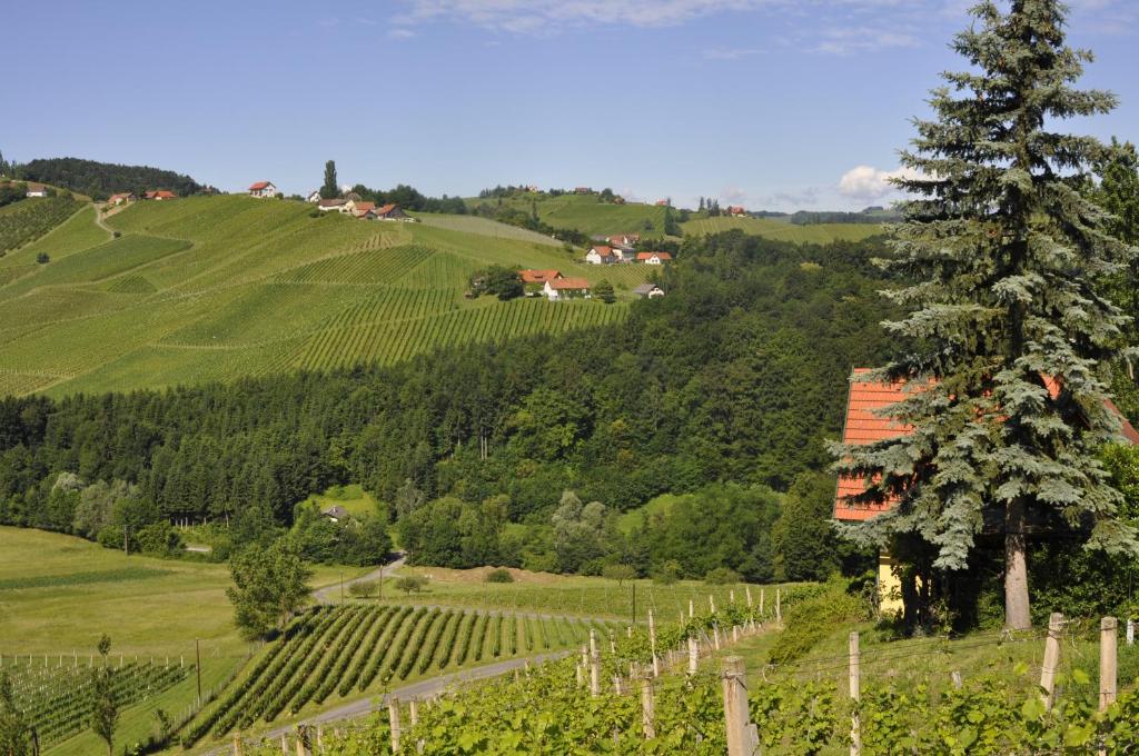 Ferienwohnungen Weingut Familie Danko - 4
