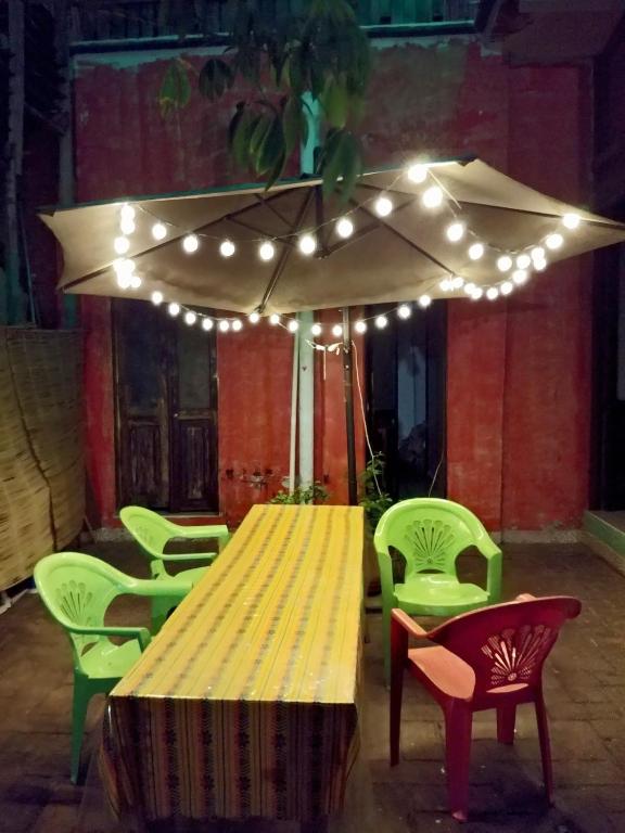 Garden, Iguana Hostel Oaxaca in Oaxaca