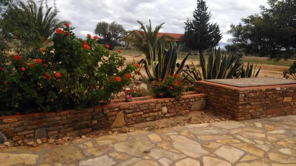 Murangi Travel Lodge photo