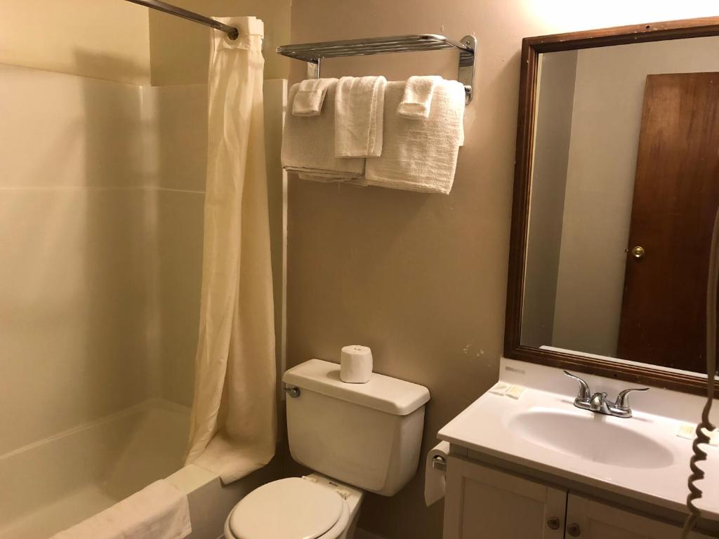 Village Inn Motel Holt Photo 17