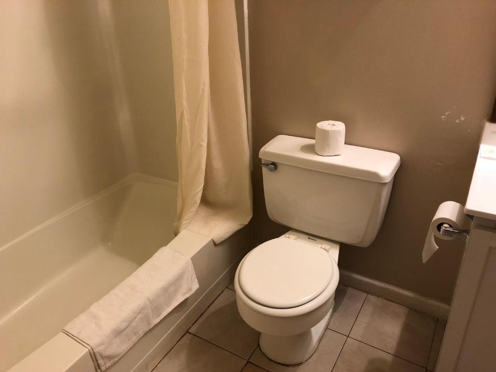 Village Inn Motel Holt Photo 19