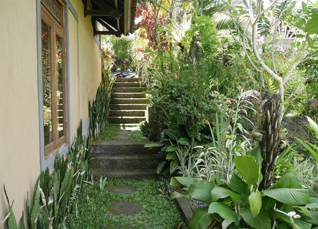 Embang Homestay photo