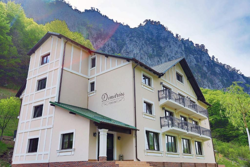 Pensiunea Dimitrios — Hotel in Baile Herculane