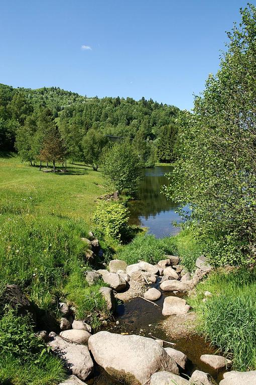 Auberge Alsacienne photo