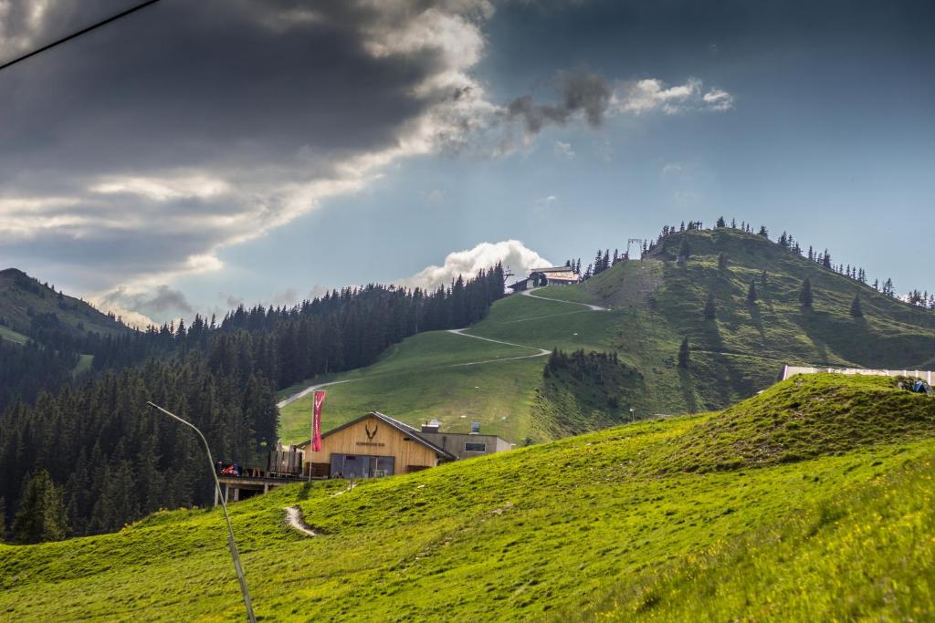 Schmiedhof Alm - 3
