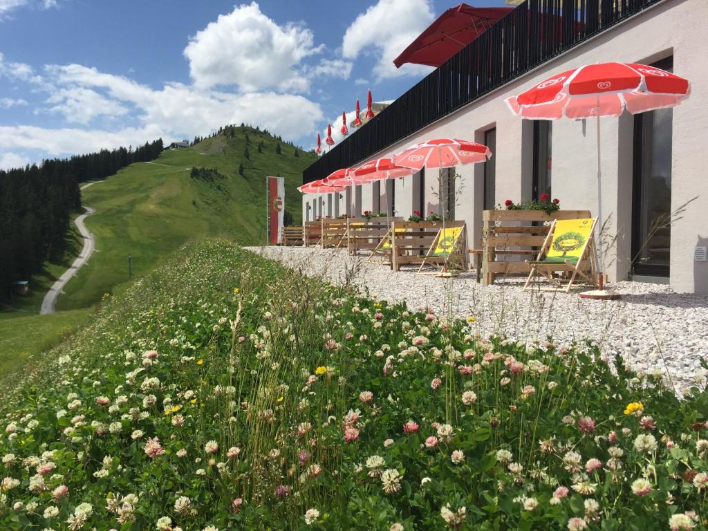 Schmiedhof Alm - 4