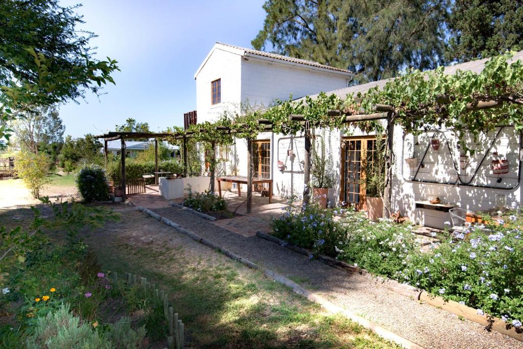 Boerfontein - Home of Olivision — Hotel in Paarl