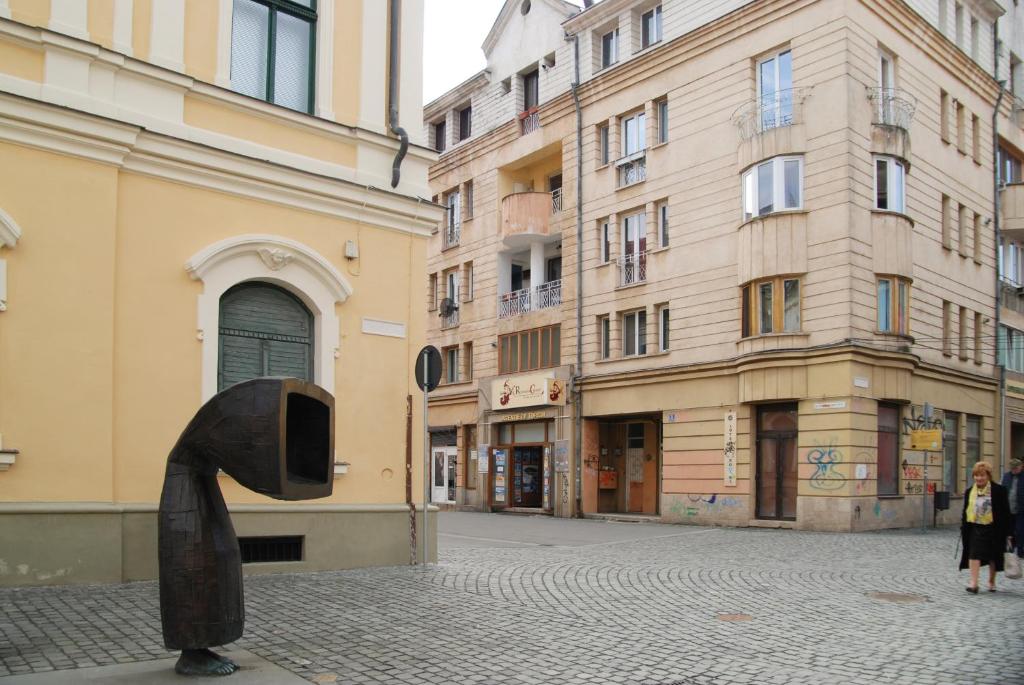 Stay Inn Center Timisoara photo