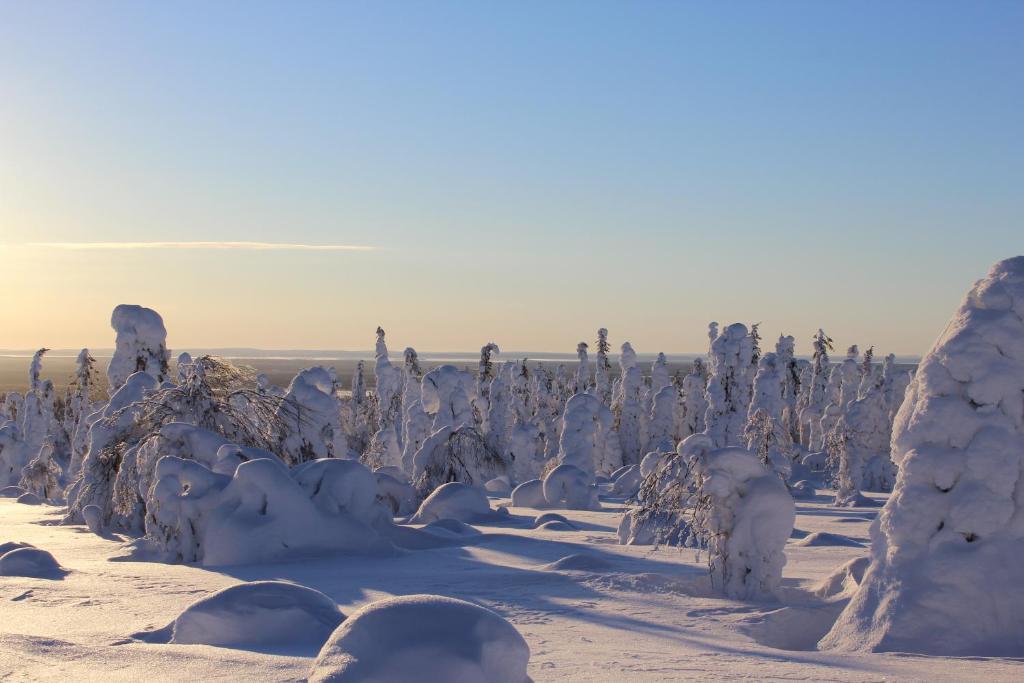 Surrounding environment
