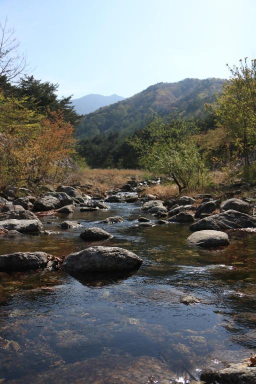 Surrounding environment