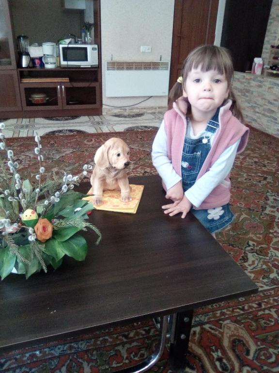 Komitas Avenue Guest House photo