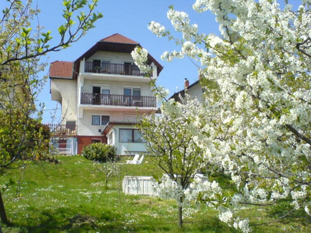 Apartman Berki — Hotel in Hévíz