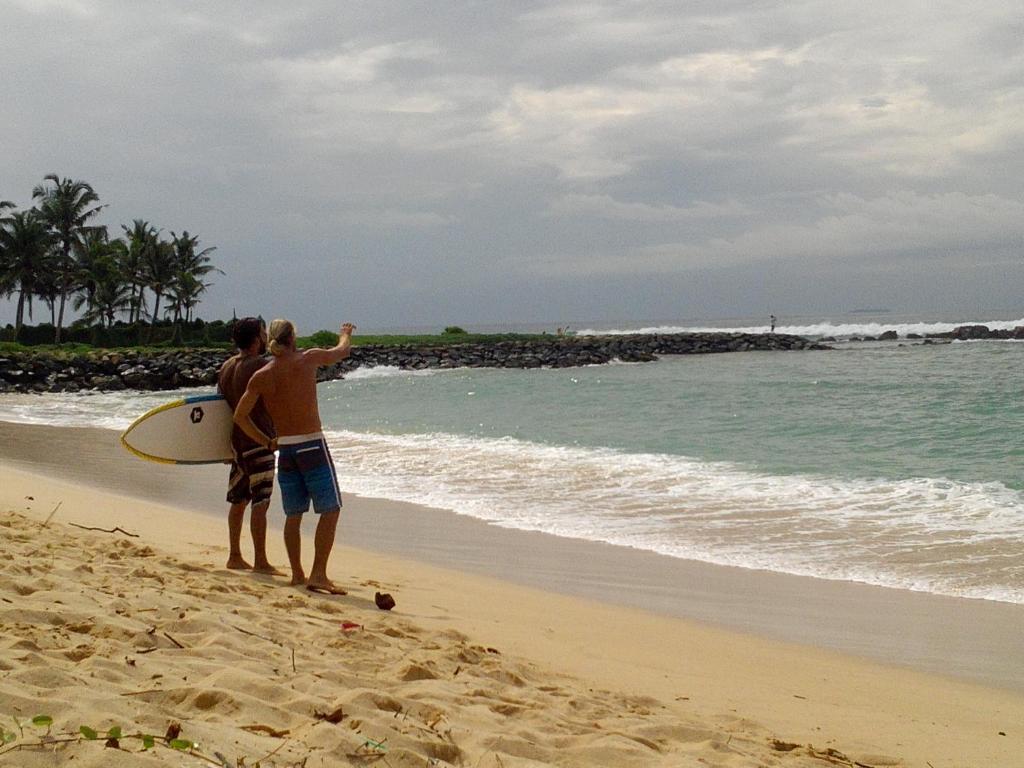 Dreams Garden Surf Lodge photo
