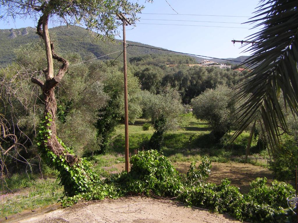 Milos Studios photo