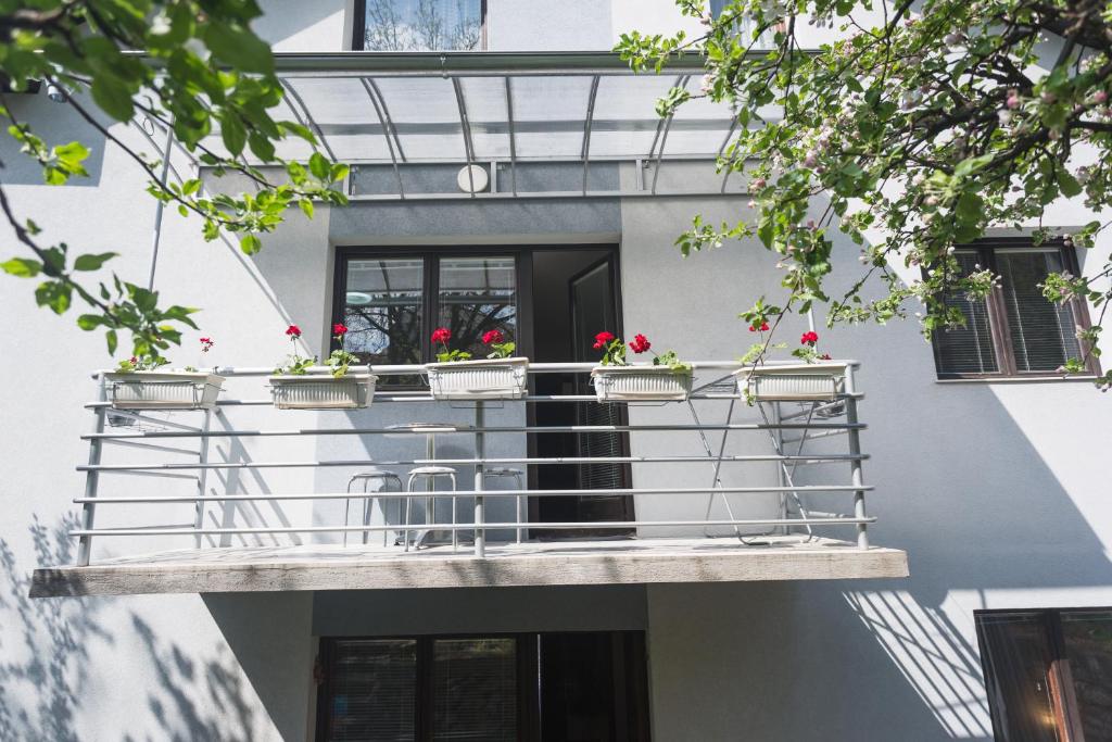 Guest House SokoDream photo