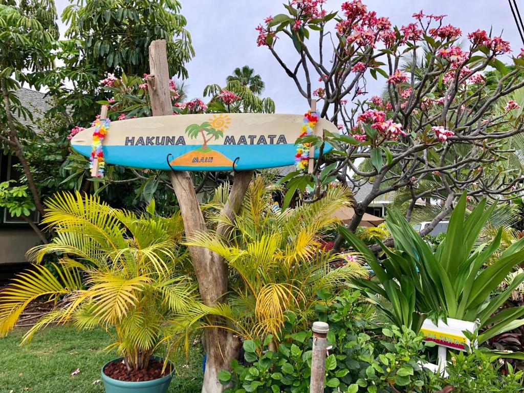 Hakuna Matata Maui Hostel