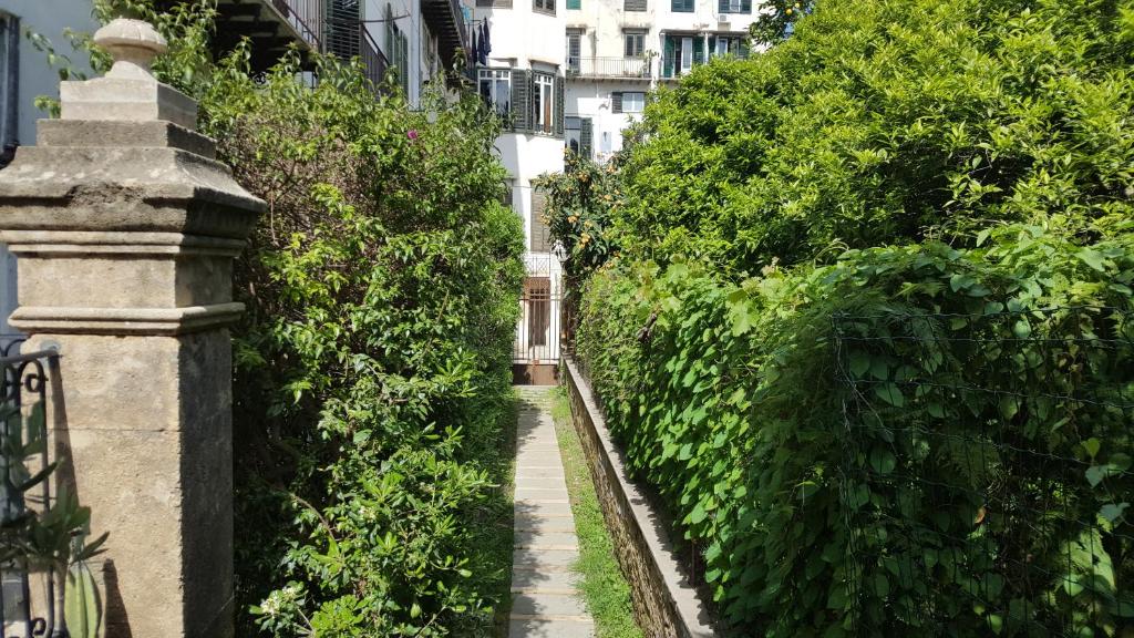 Nel Giardino degli Agrumi - 3