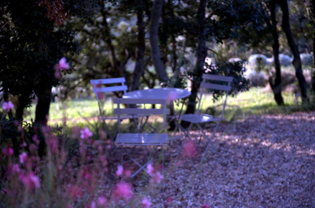 Les Terrasses - Gordes - 5