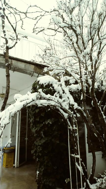 Pension-Albergue Don Alvaro photo