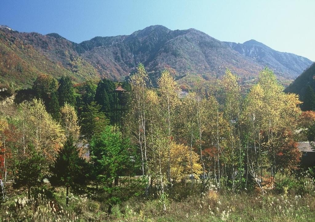 Surrounding environment