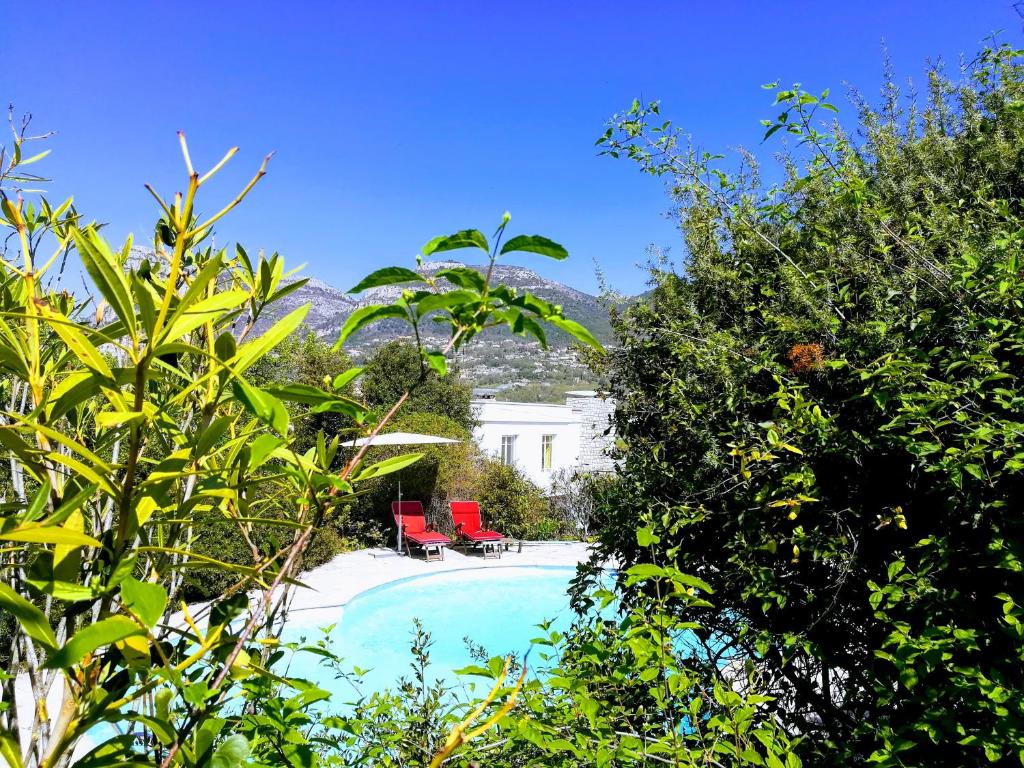 Villa Nice Côte d'Azur piscine privée rez de chaussée - 5