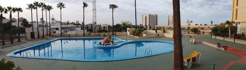 Full center of Las Americas, renovated, high floor photo